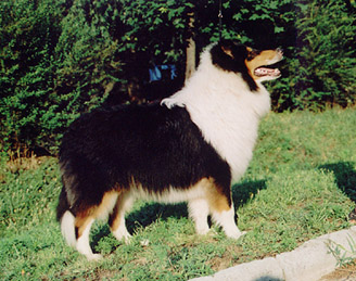 Kyuss7test.jpg