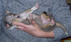 baby.jpg
